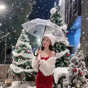 Velda Lina photo 4, asian, athletic, brunette, 167 cm, 54 kg, Small bust, Hong Kong